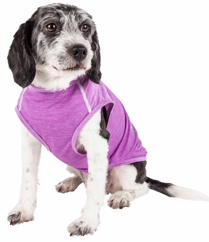 Pet Life Active 'Aero-Pawlse' Heathered Quick-Dry And 4-Way Stretch-Performance Dog Tank Top T-Shirt - Image 254