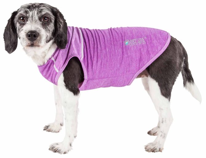 Pet Life Active 'Aero-Pawlse' Heathered Quick-Dry And 4-Way Stretch-Performance Dog Tank Top T-Shirt - Image 253