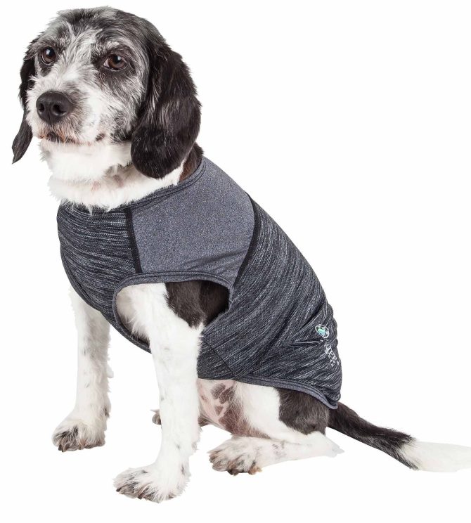 Pet Life Active 'Aero-Pawlse' Heathered Quick-Dry And 4-Way Stretch-Performance Dog Tank Top T-Shirt - Image 194