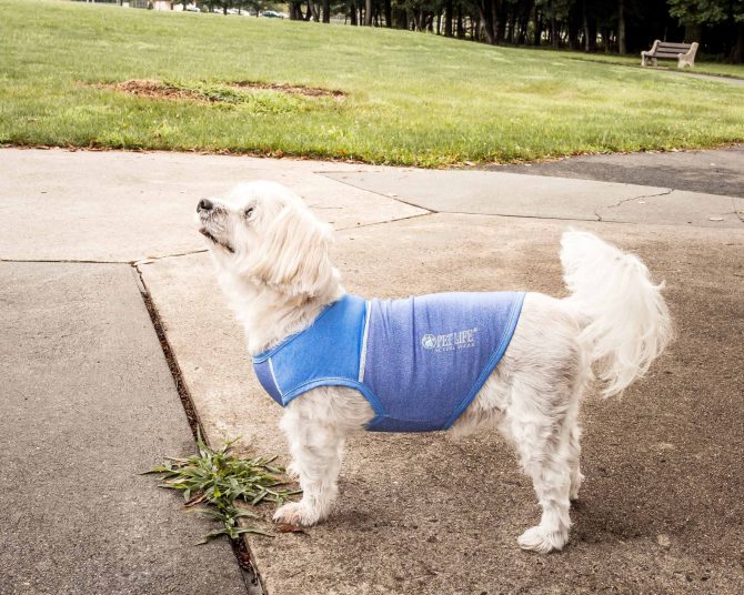 Pet Life Active 'Aero-Pawlse' Heathered Quick-Dry And 4-Way Stretch-Performance Dog Tank Top T-Shirt - Image 174
