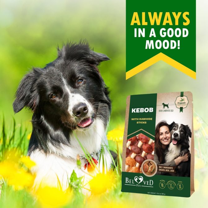 Dog Rawhide Treats with Duck and Chicken Human Grade Meat All Natural Organic Dried Snacks Grain Free Long Lasting Chews for Large and Small Dogs - Image 7