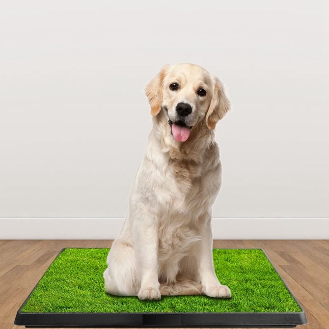 25"×20" Dog Toilet Indoor Puppy Training Pad, Dog Potty Pet Training Grass Mat, Removable Waste Tray for Easier Clean Up, Artificial Turf - Image 4