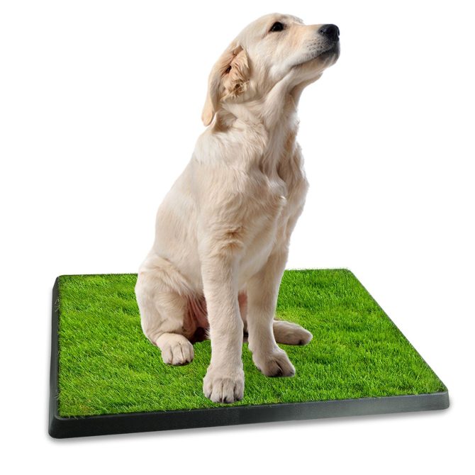 25"×20" Dog Toilet Indoor Puppy Training Pad, Dog Potty Pet Training Grass Mat, Removable Waste Tray for Easier Clean Up, Artificial Turf - Image 6