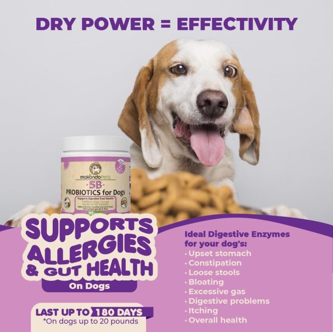 Probiotics for Dogs & Puppies Extra Strength 9 Species 5 Billion CFU per Scoop of Dog Probiotics and Digestive Enzymes for Dogs Support Fiber for Dogs  Dog Allergy Relief Powder Probiotic for Dogs - Image 2
