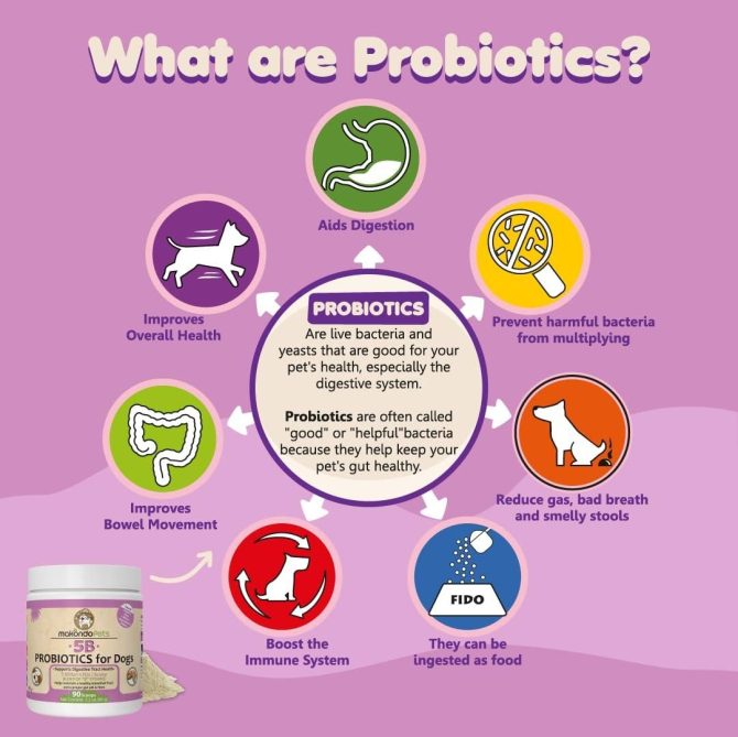 Probiotics for Dogs & Puppies Extra Strength 9 Species 5 Billion CFU per Scoop of Dog Probiotics and Digestive Enzymes for Dogs Support Fiber for Dogs  Dog Allergy Relief Powder Probiotic for Dogs - Image 6