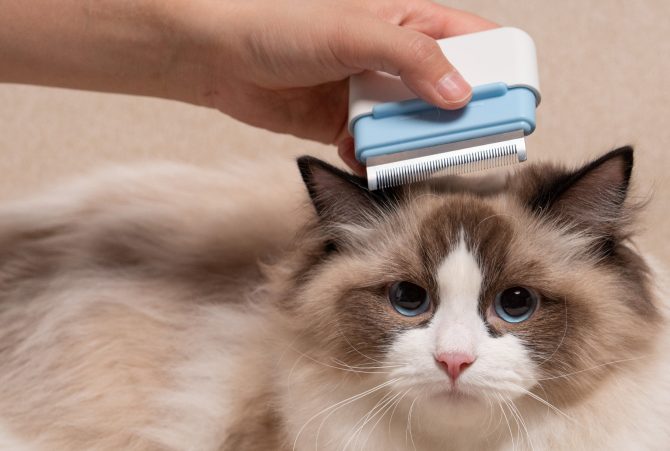 Pet Life 'Zipocket' 2-in-1 Underake and Stainless Steel Travel Grooming Pet Comb - Image 11