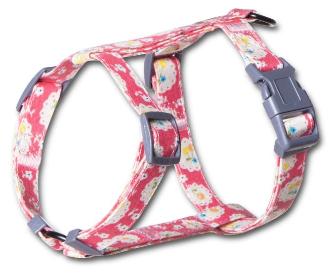 Touchcat 'Radi-Claw' Durable Cable Cat Harness and Leash Combo - Image 14