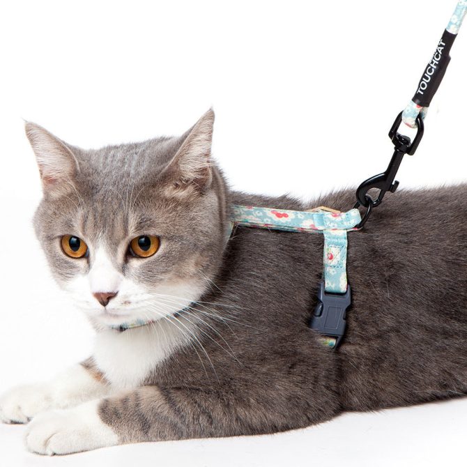 Touchcat 'Radi-Claw' Durable Cable Cat Harness and Leash Combo - Image 3