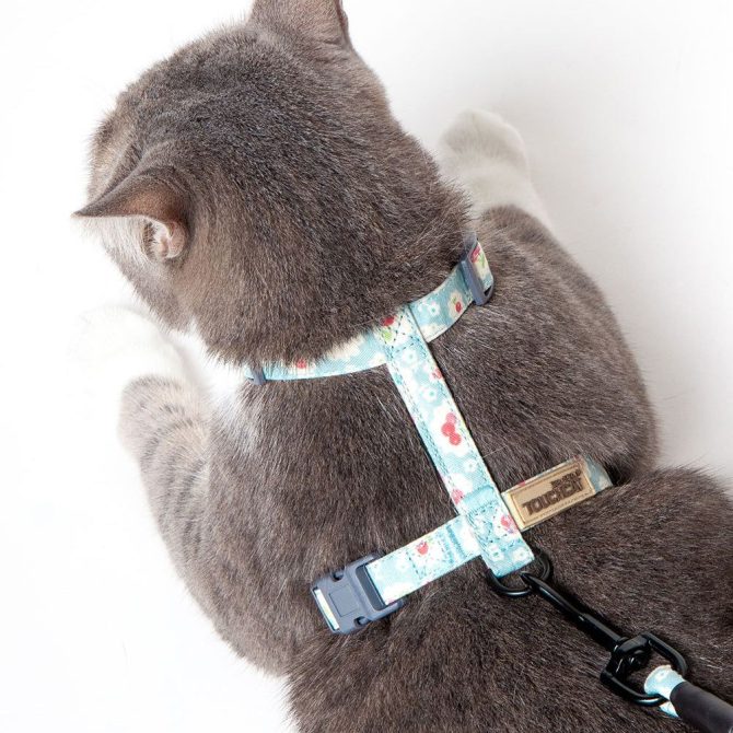 Touchcat 'Radi-Claw' Durable Cable Cat Harness and Leash Combo - Image 5