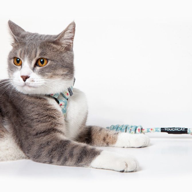 Touchcat 'Radi-Claw' Durable Cable Cat Harness and Leash Combo - Image 6