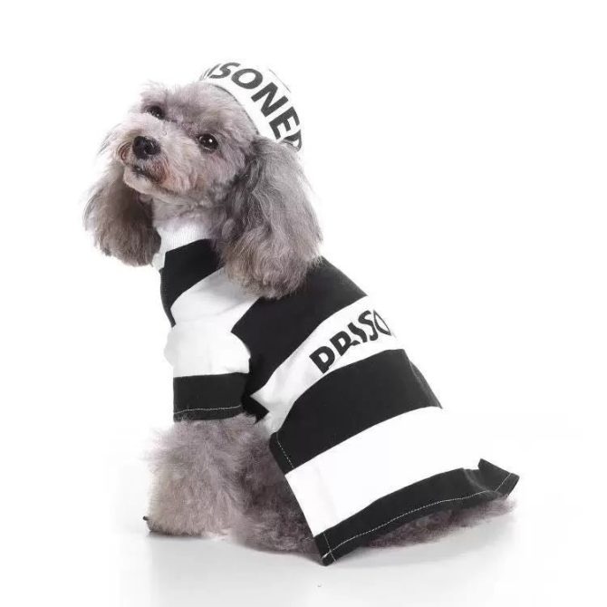 Pet Life Striped Retro Inmate Prisoner Pet Dog Costume Uniform - Image 20