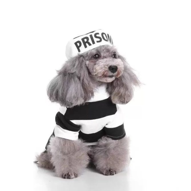 Pet Life Striped Retro Inmate Prisoner Pet Dog Costume Uniform - Image 21