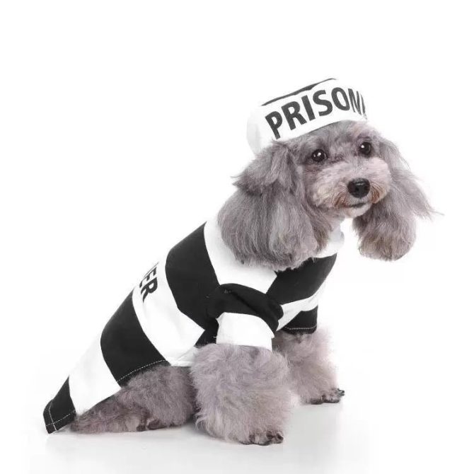 Pet Life Striped Retro Inmate Prisoner Pet Dog Costume Uniform - Image 22