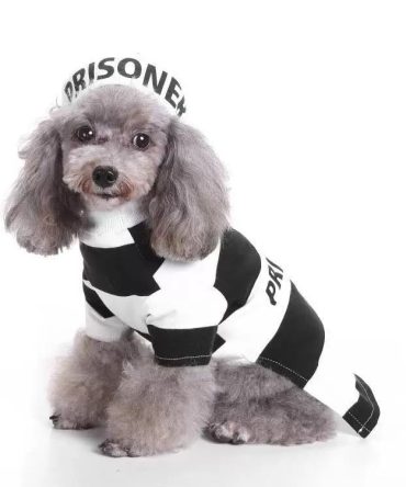 Pet Life Striped Retro Inmate Prisoner Pet Dog Costume Uniform