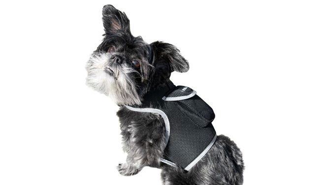 Pet Realtime Surveillance w/ Pet Tracker GPS Tracking Chip for Dogs + App Size:M - Image 11
