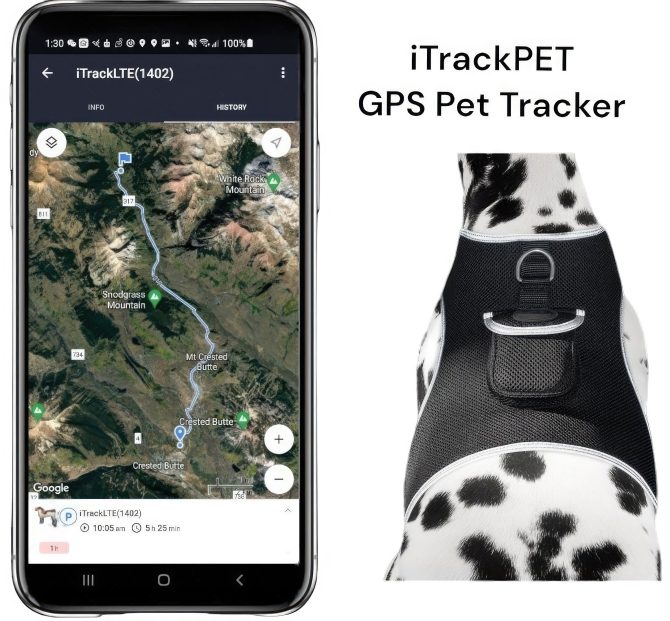 Pet Realtime Surveillance w/ Pet Tracker GPS Tracking Chip for Dogs + App Size:M - Image 12