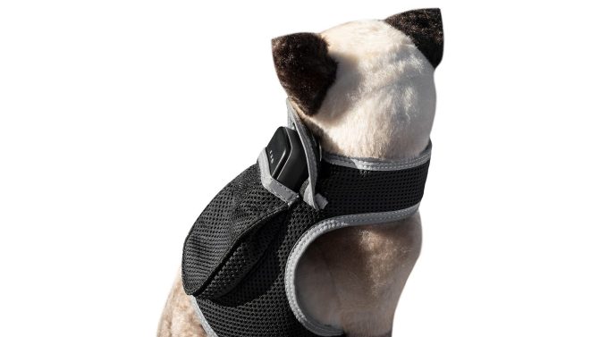Pet Realtime Surveillance w/ Pet Tracker GPS Tracking Chip for Dogs + App Size:M - Image 13