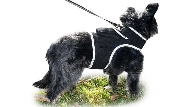 Pet Realtime Surveillance w/ Pet Tracker GPS Tracking Chip for Dogs + App Size:M - Image 14