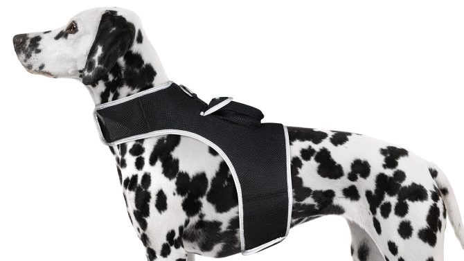 Pet Realtime Surveillance w/ Pet Tracker GPS Tracking Chip for Dogs + App Size:M - Image 15