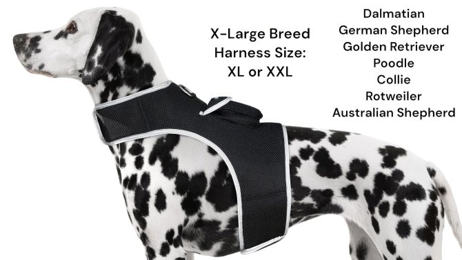 Pet Realtime Surveillance w/ Pet Tracker GPS Tracking Chip for Dogs + App Size:M - Image 16