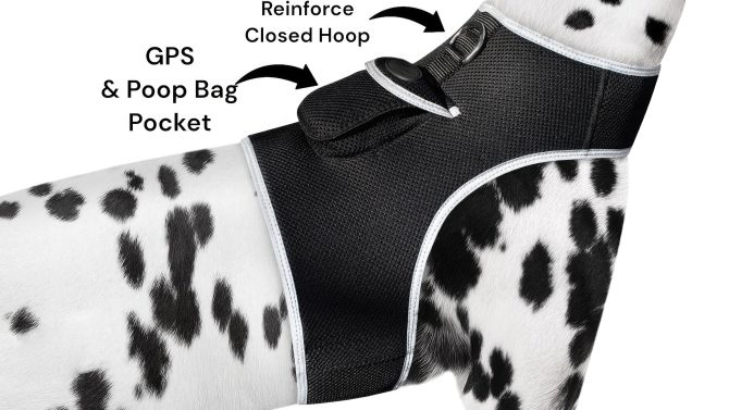 Pet Realtime Surveillance w/ Pet Tracker GPS Tracking Chip for Dogs + App Size:M - Image 18
