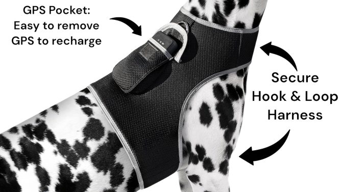 Pet Realtime Surveillance w/ Pet Tracker GPS Tracking Chip for Dogs + App Size:M - Image 19