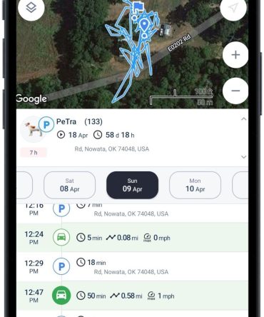 Pet Realtime Surveillance w/ Pet Tracker GPS Tracking Chip for Dogs + App Size:M