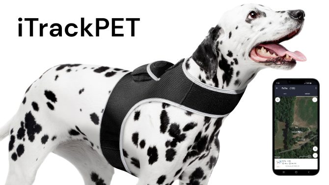 Pet Realtime Surveillance w/ Pet Tracker GPS Tracking Chip for Dogs + App Size:M - Image 7