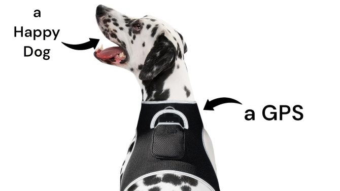 Pet Realtime Surveillance w/ Pet Tracker GPS Tracking Chip for Dogs + App Size:M - Image 8