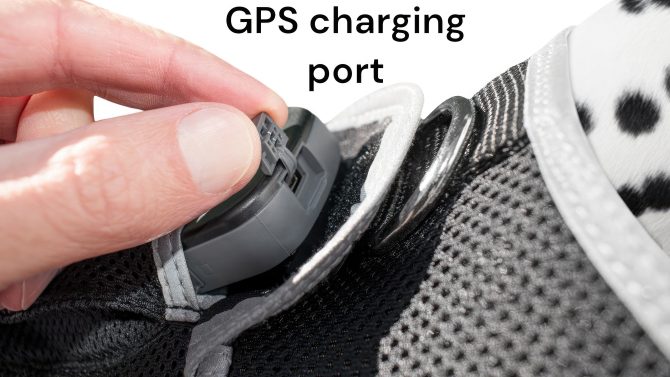 Pet Realtime Surveillance w/ Pet Tracker GPS Tracking Chip for Dogs + App Size:M - Image 9