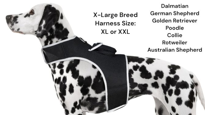 Broad GPS GSM Coverage Wireless Pet Tracking Collars for Hunting Dogs Size:XXL - Image 2