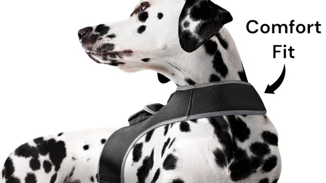 Broad GPS GSM Coverage Wireless Pet Tracking Collars for Hunting Dogs Size:XXL - Image 14