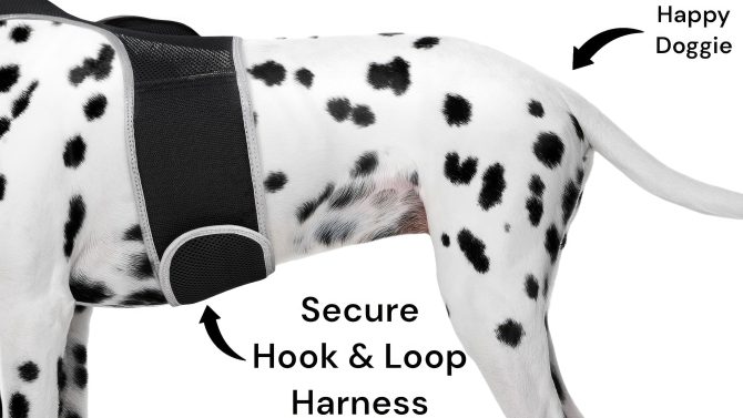 Broad GPS GSM Coverage Wireless Pet Tracking Collars for Hunting Dogs Size:XXL - Image 17