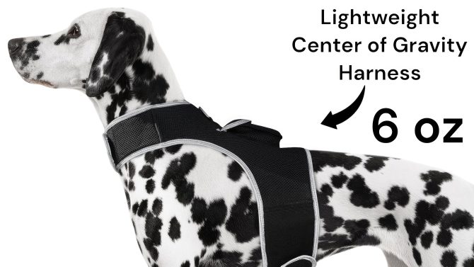 Broad GPS GSM Coverage Wireless Pet Tracking Collars for Hunting Dogs Size:XXL - Image 20