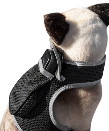 Broad GPS GSM Coverage Wireless Pet Tracking Collars for Hunting Dogs Size:XXL
