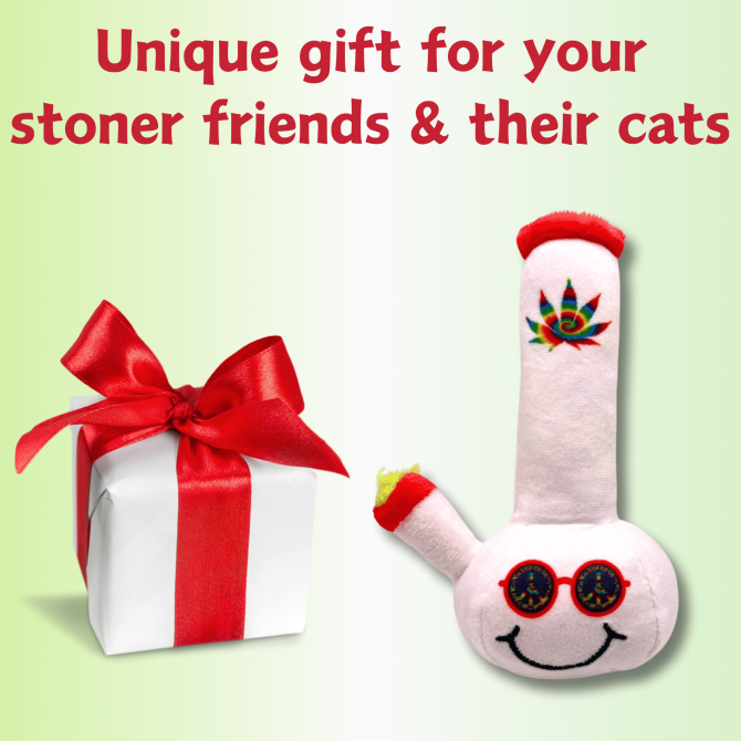 My Name is Lil Billie, Funny Weed Theme Catnip Toy, Cute Stuffed Parody Pot Bong, Cool Plush 420 Novelty Gift for Pets & Their Owners, Sized for Kittens & Cats, Fetch & a Photo Prop - Image 4