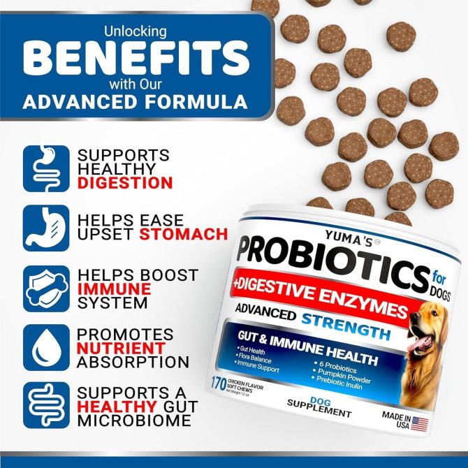 2 Pack Probiotics for Dogs and Digestive Enzymes Dog Probiotics Chews Anti Diarrhea Upset Stomach Gas Relief Constipation Canine Prebiotic Pet Fiber Supplement 340 Chews - Image 2