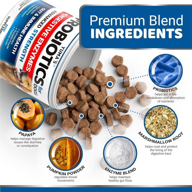 2 Pack Probiotics for Dogs and Digestive Enzymes Dog Probiotics Chews Anti Diarrhea Upset Stomach Gas Relief Constipation Canine Prebiotic Pet Fiber Supplement 340 Chews - Image 3