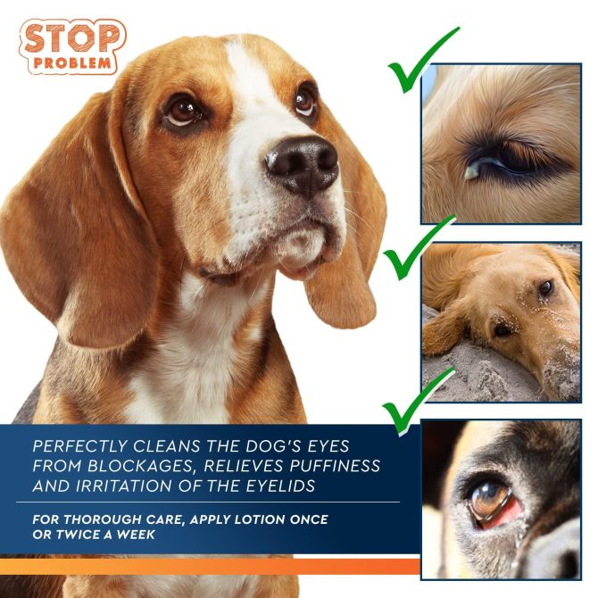 All Pets Eye Wash Drops for Relieve Pink Eye Allergies Symptoms Infections Runny Dry Eyes Pain Free Treatment Helps Prevent Abrasions Irritations Conjunctivitis - Image 3