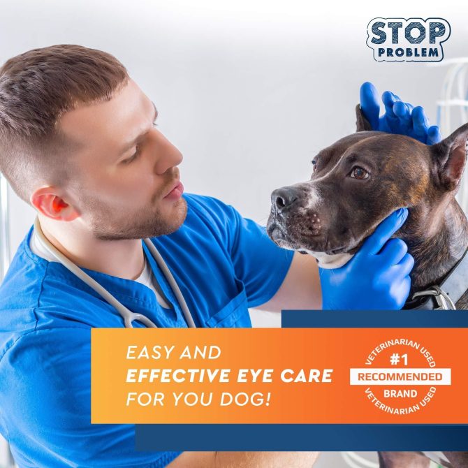 All Pets Eye Wash Drops for Relieve Pink Eye Allergies Symptoms Infections Runny Dry Eyes Pain Free Treatment Helps Prevent Abrasions Irritations Conjunctivitis - Image 4