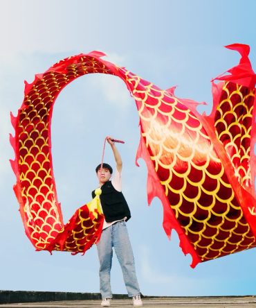 DSJUGGLING 3D Dragon Poi with 340g Weighted Ball & 1.1 Meters Swing Rope - Silk Flowy Shaking & Flinging Chinese Golden Dragon Ribbon Streamer + Travel Bag!