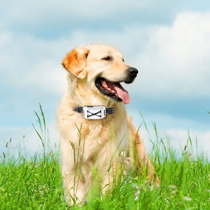 Wireless Electric Dog Fence Waterproof Pet Shock Boundary Containment System Electric Training Collar for Small Medium Large Dogs - Image 35