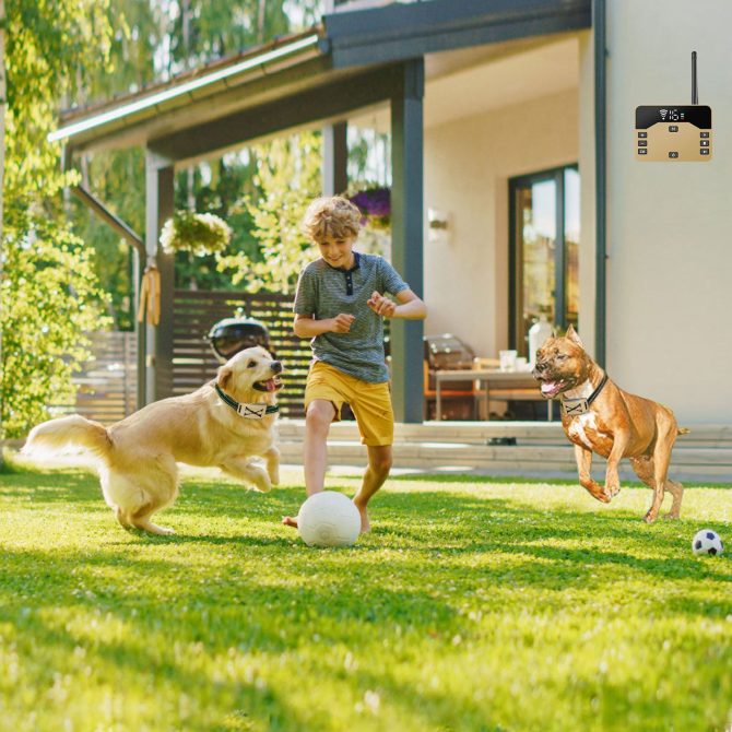 Wireless Electric Dog Fence Waterproof Pet Shock Boundary Containment System Electric Training Collar for Small Medium Large Dogs - Image 54