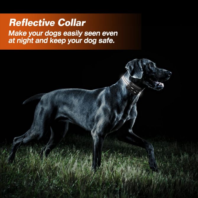Wireless Electric Dog Fence Waterproof Pet Shock Boundary Containment System Electric Training Collar for Small Medium Large Dogs - Image 25