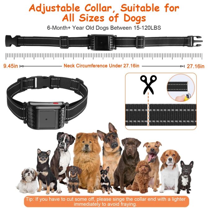 990FT Range Dog Wireless Fence Remote Training Collar IPX6 Waterproof Receiver with 0-9 Levels Beep Vibration Shock Mode 4 Channels Rechargeable Transmitter System - Image 5