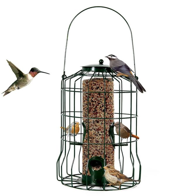 Outdoor Wild Bird Feeder Squirrel-Proof Chew-Proof Metal Hanging Seed Feeder with 4 Feeding Ports for Small Songbirds - Image 10