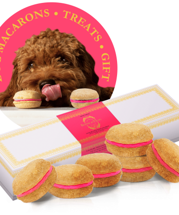 Dog Macarons - Count of 6 (Dog Treats | Dog Gifts)