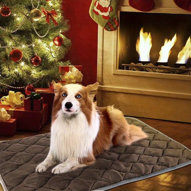 Dog Cat Bed, Cat Dog Non-Slip Mat, Extra Warm Thermal Pet Pad Self-Heating Cat Mat Warm Thermal Pet Pad Washable Dog Crate Pad Heat Dog Cat Bed Mat Blanket Non-Slip Bottom For Outdoor And Indoor Pets - Image 7