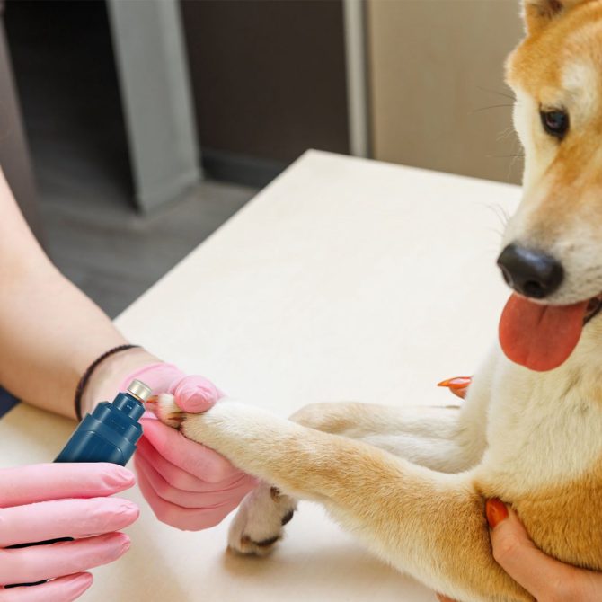 Dog Nail Grinder 2 Speeds Quiet USB Rechargeable Pet Nail Grinder Professional Pet Nail Trimmer Cordless Paws Grooming - Image 10