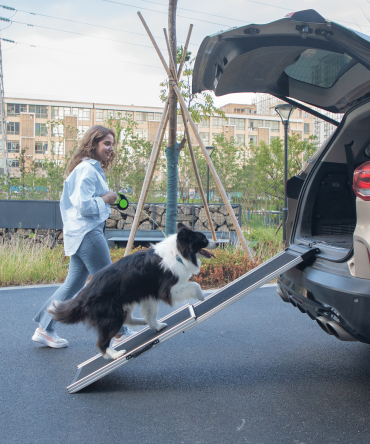 Foldable Aluminum Dog Car Step Ramp, Dog Ramp Climbing Ladder with PVC Handle, Non-slip Foot Mats for Most Sized Dogs, Pet Ramp Ladder, Black